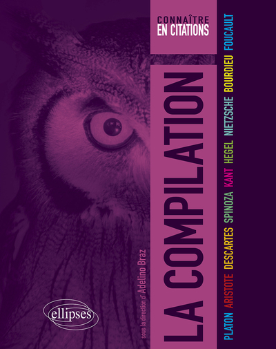La compilation, Platon, Aristote, Descartes, Spinoza, Kant, Hegel, Nietzsche, Bourdieu, Foucault (9782340078079-front-cover)