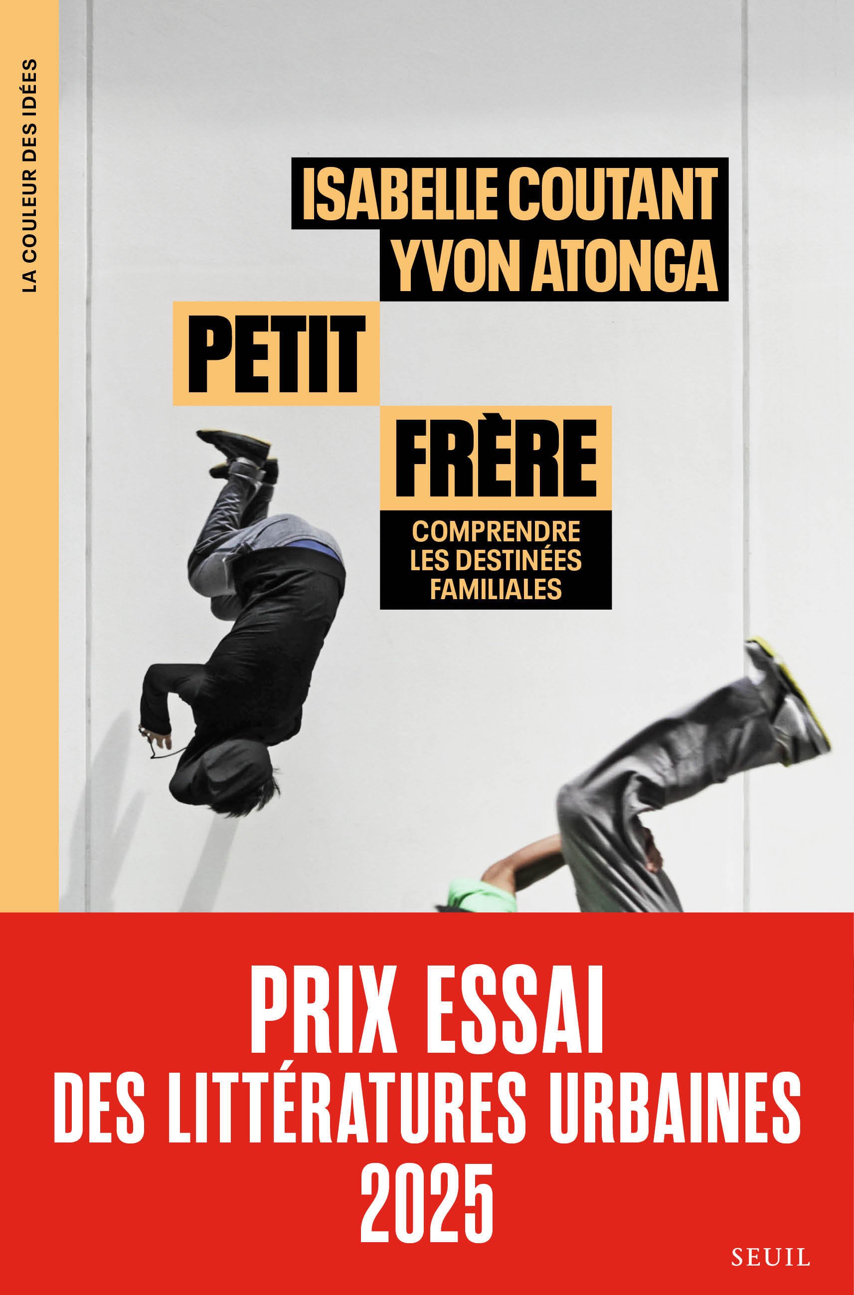 Petit frère, Comprendre les destinées familiales (9782021536973-front-cover)