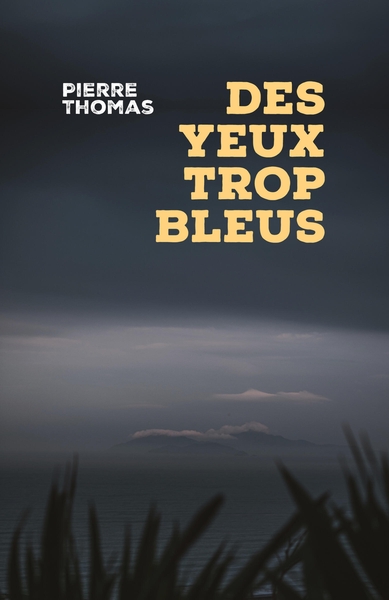 Des yeux trop bleus (9791040565291-front-cover)