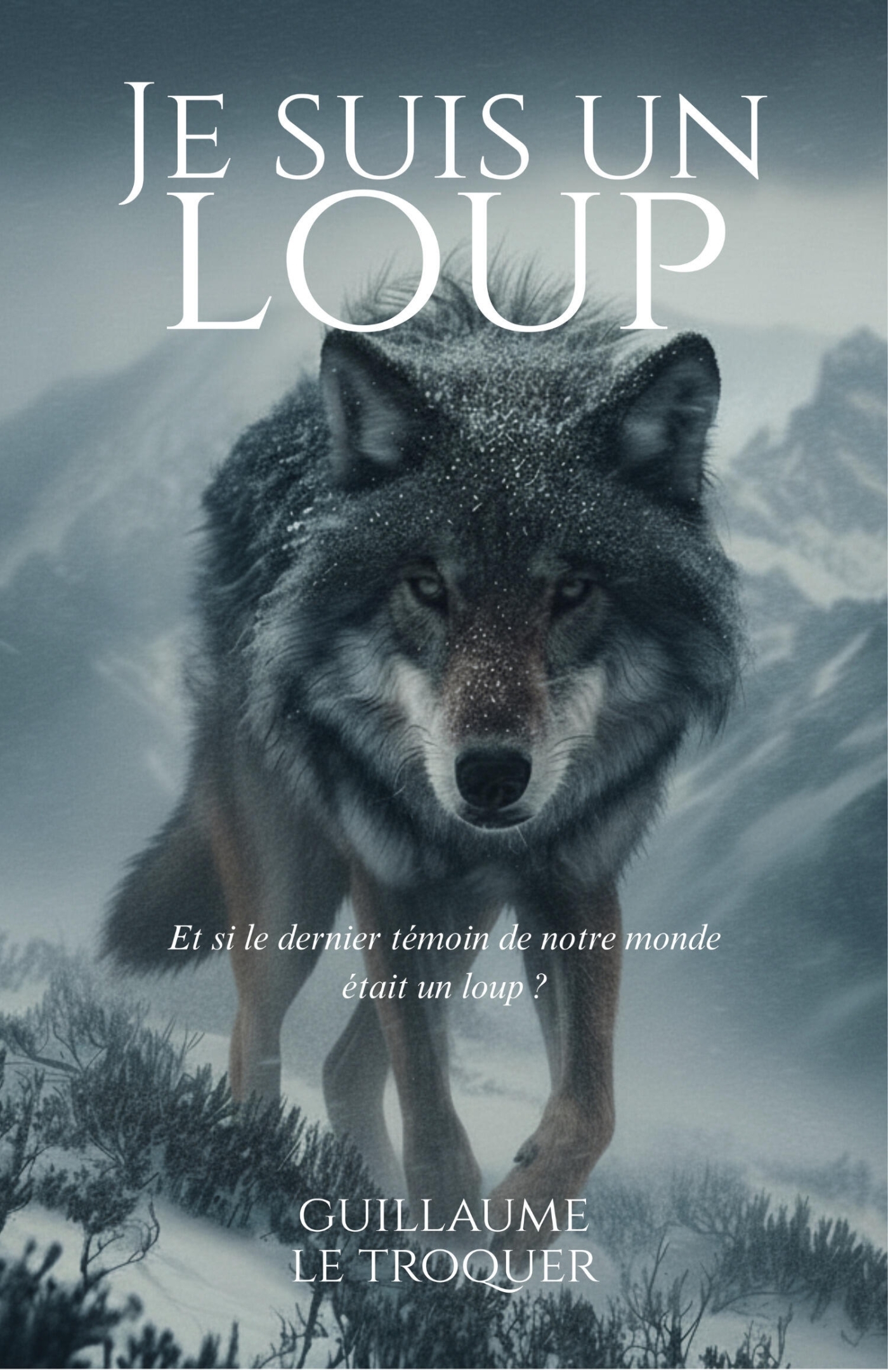 Je suis un loup (9791040598459-front-cover)