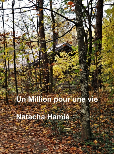 Un million pour une vie (9791040530367-front-cover)