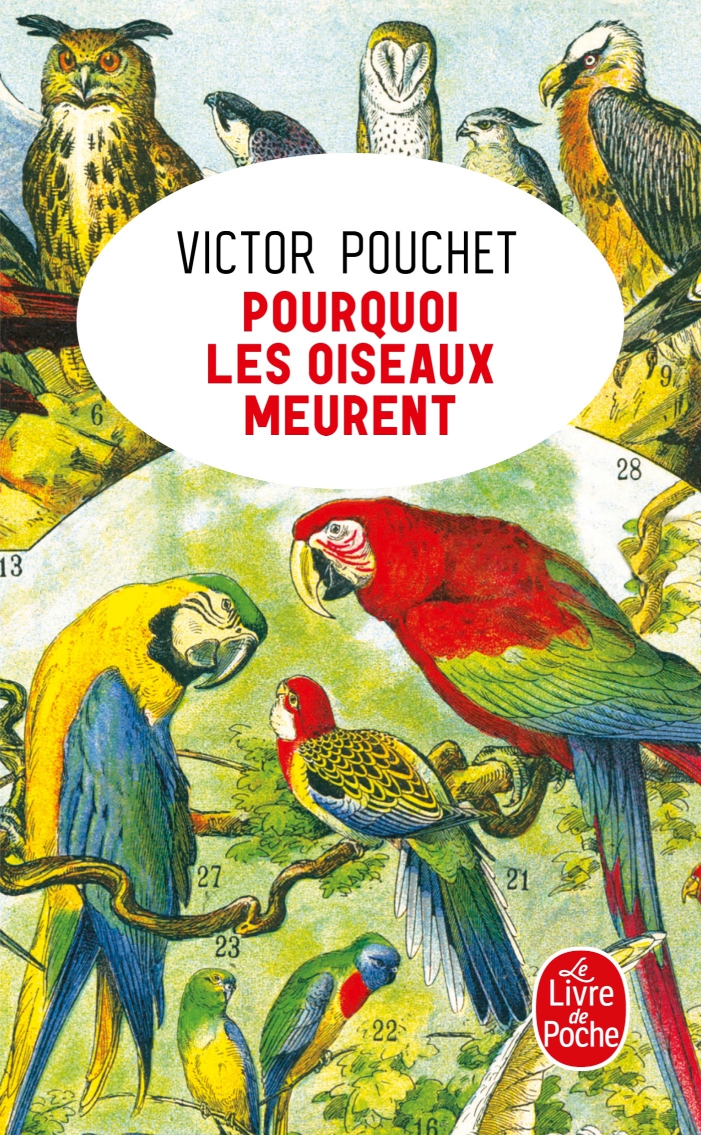 Pourquoi les oiseaux meurent (9782253906698-front-cover)