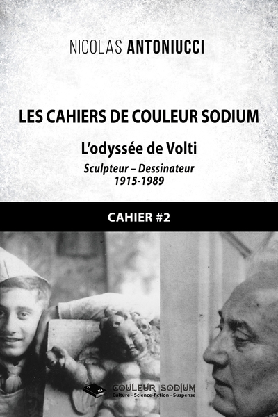 Les Cahiers de Couleur Sodium, Cahier 2 : L'odyssée de Volti (9782376923893-front-cover)