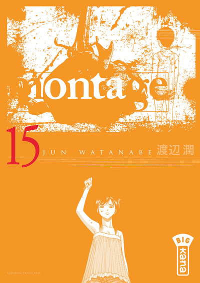 Montage - Tome 15 (9782505065951-front-cover)