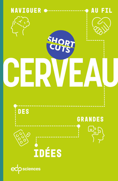 Cerveau (9782759837045-front-cover)
