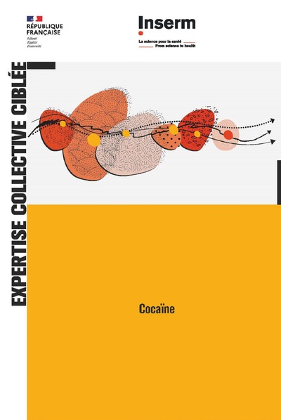 Cocaïne (9782759839605-front-cover)