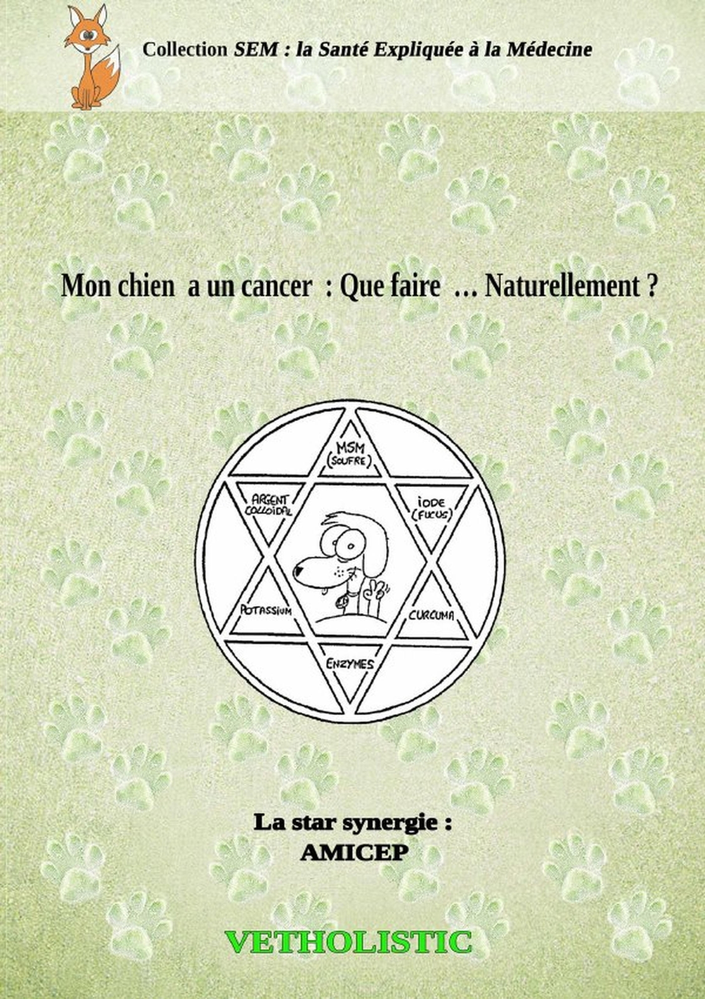 Mon chien a un cancer : que faire.. naturellement ? (9780244513344-front-cover)