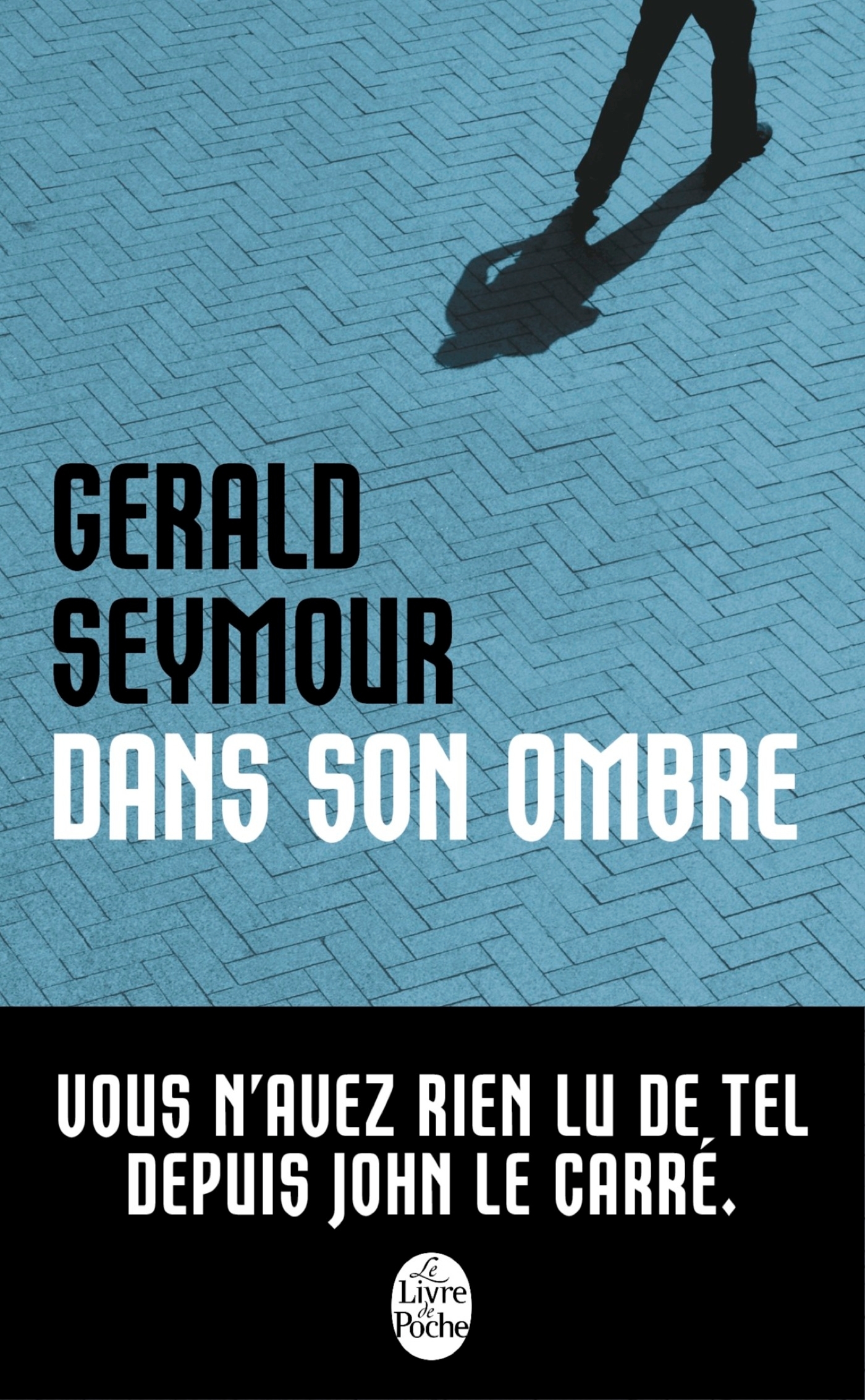 Dans son ombre (9782253095149-front-cover)