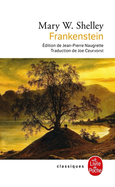 Frankenstein (9782253088752-front-cover)