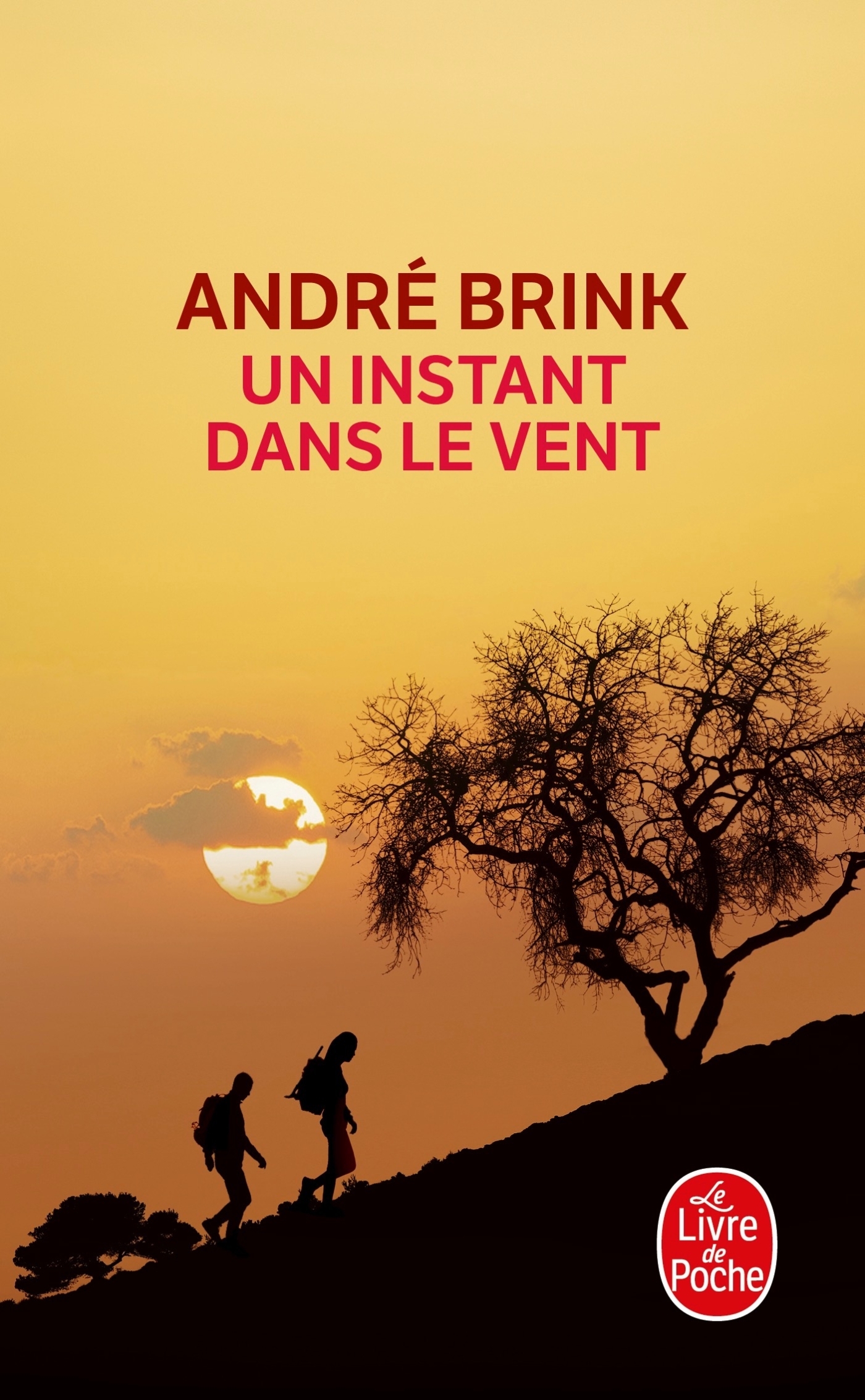 Un instant dans le vent (9782253035701-front-cover)