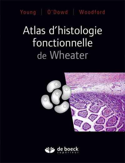 Atlas d'histologie fonctionnelle de Wheater (9782807300408-front-cover)