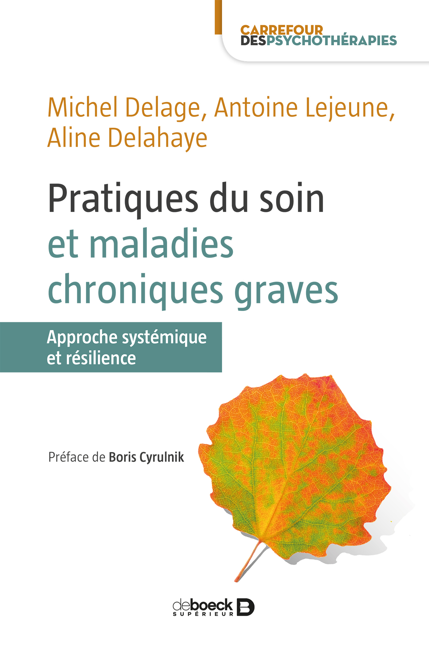 Pratiques du soin et maladies chroniques graves, Approche systémique et résilience (9782807307100-front-cover)