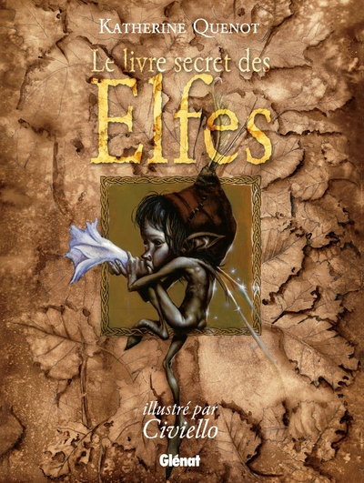 Le Livre secret des elfes (9782723498395-front-cover)