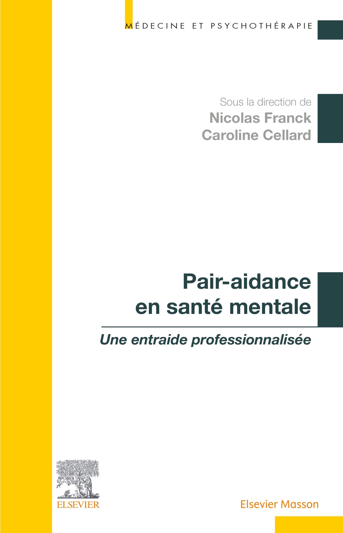 Pair-aidance en santé mentale, Une entraide professionnalisée (9782294771194-front-cover)