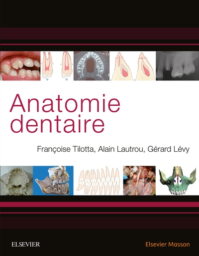 Anatomie dentaire (9782294758492-front-cover)