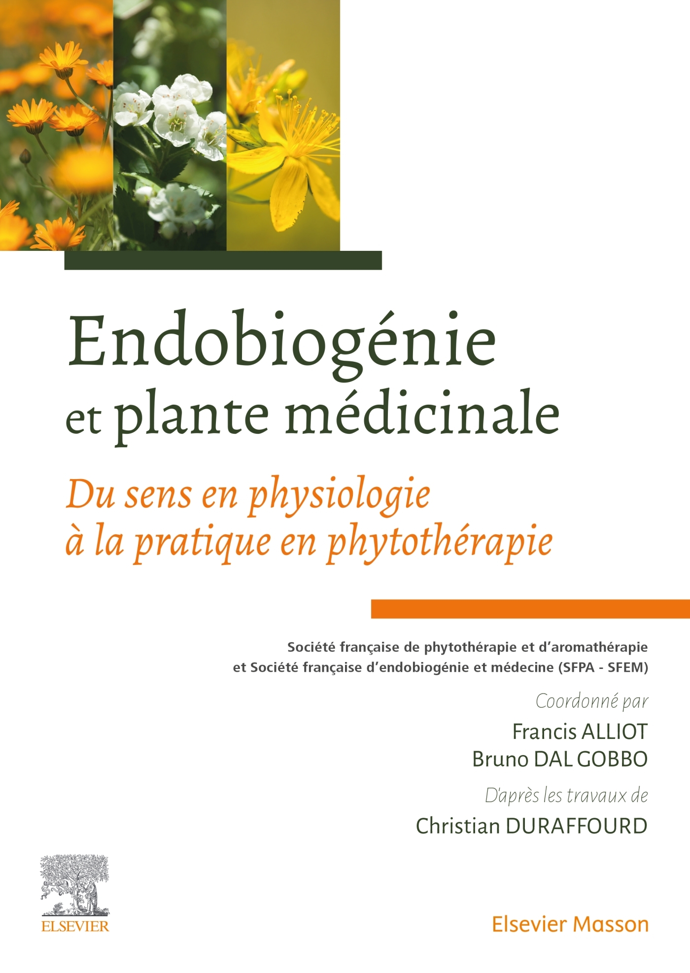 Endobiogénie et plante médicinale, Du sens en physiologie à la pratique en phytothérapie (9782294768460-front-cover)