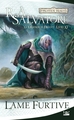 La Légende de Drizzt, T11 : Lame furtive (9782811208073-front-cover)