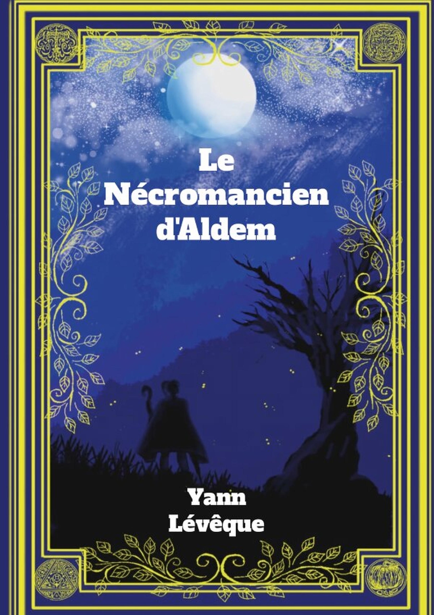 Le Necromancien d'Aldem (9781326021528-front-cover)