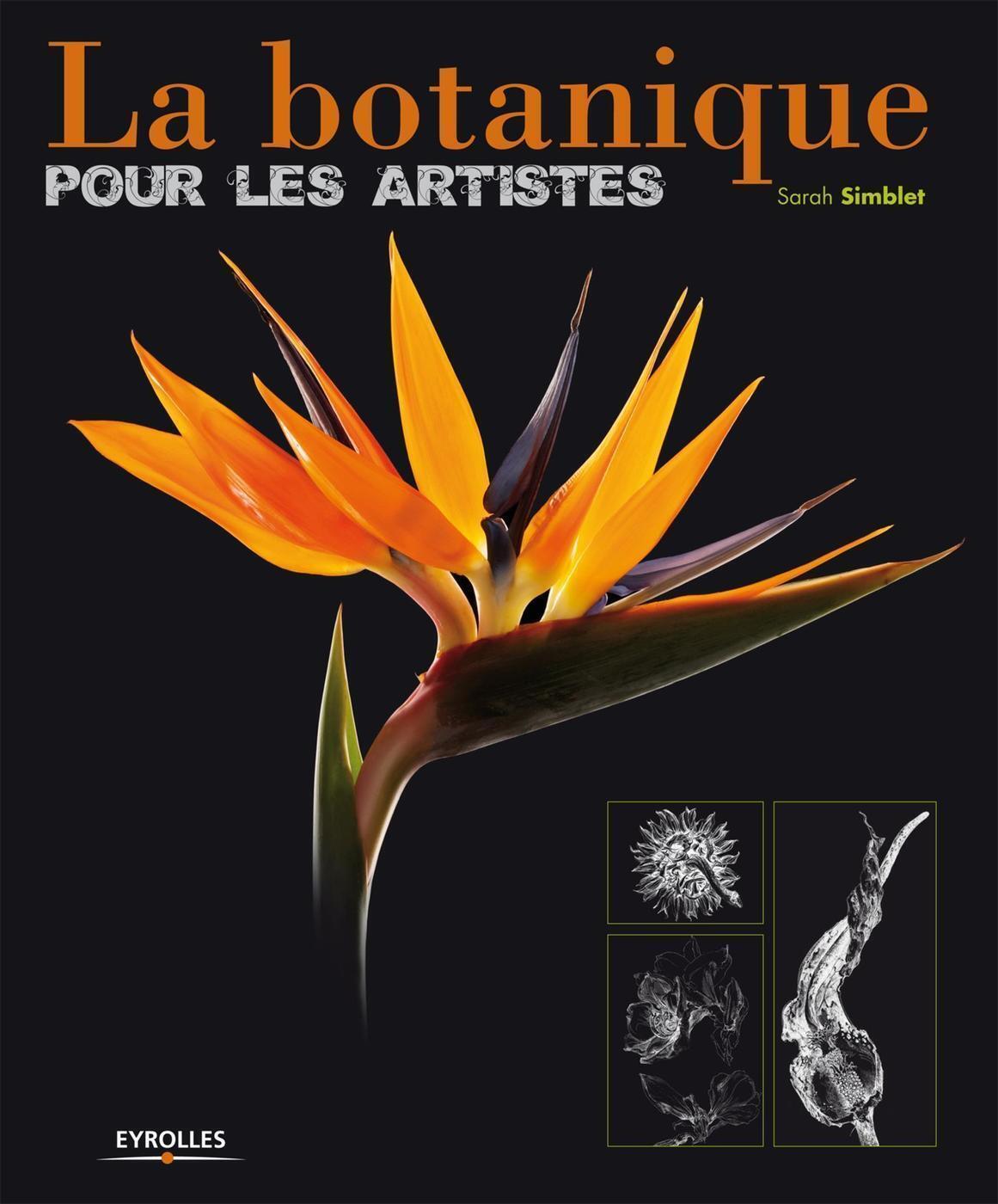 La botanique pour  les artistes (9782212134025-front-cover)