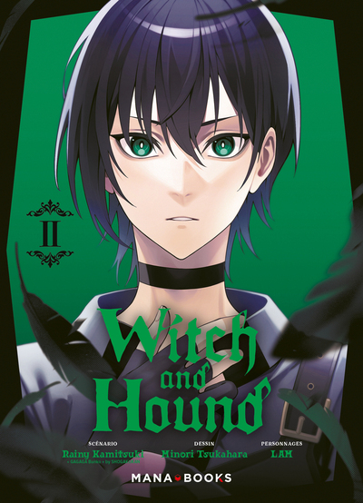 Witch and Hound T02 (9791035507763-front-cover)