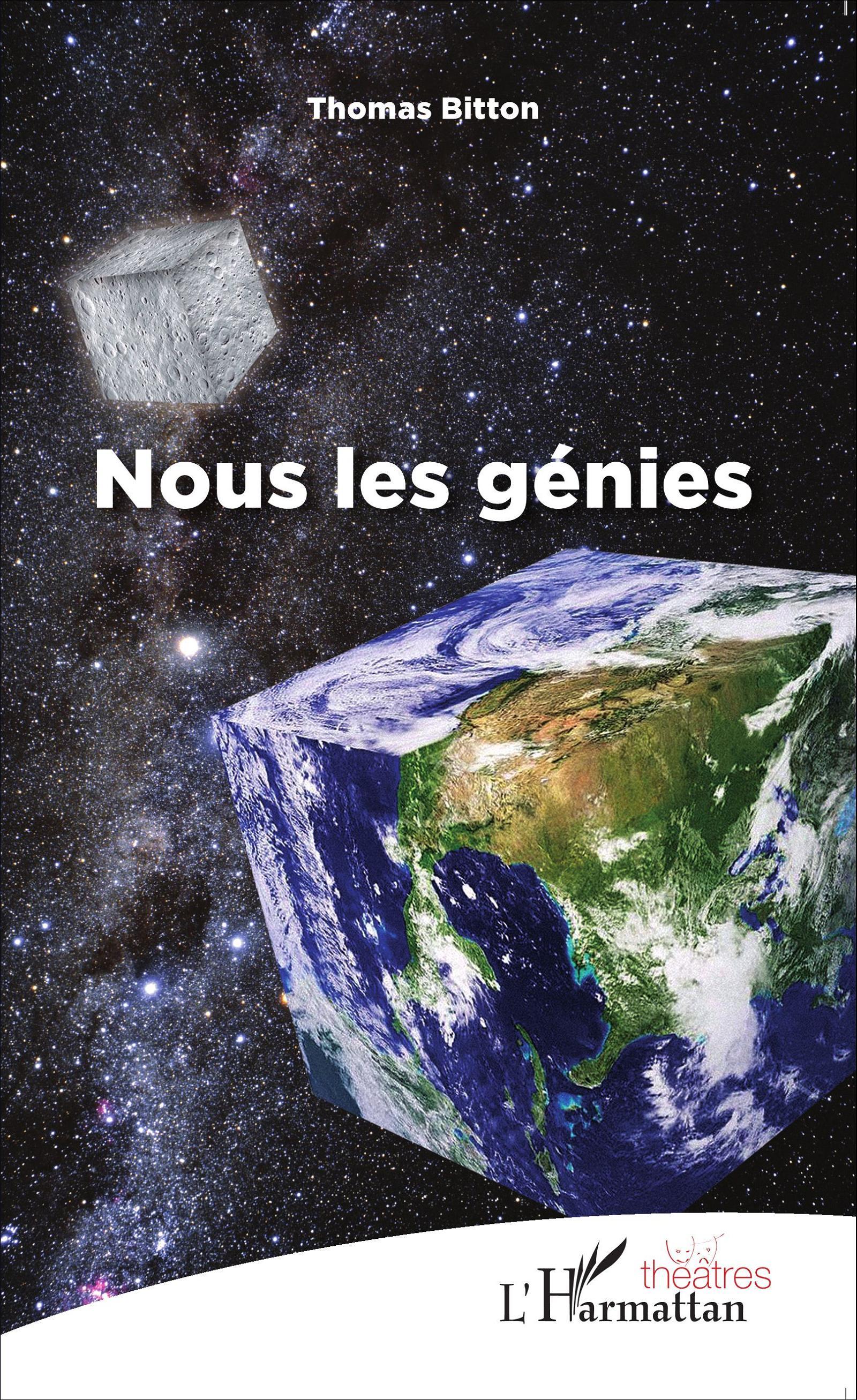 Nous les génies (9782343074818-front-cover)