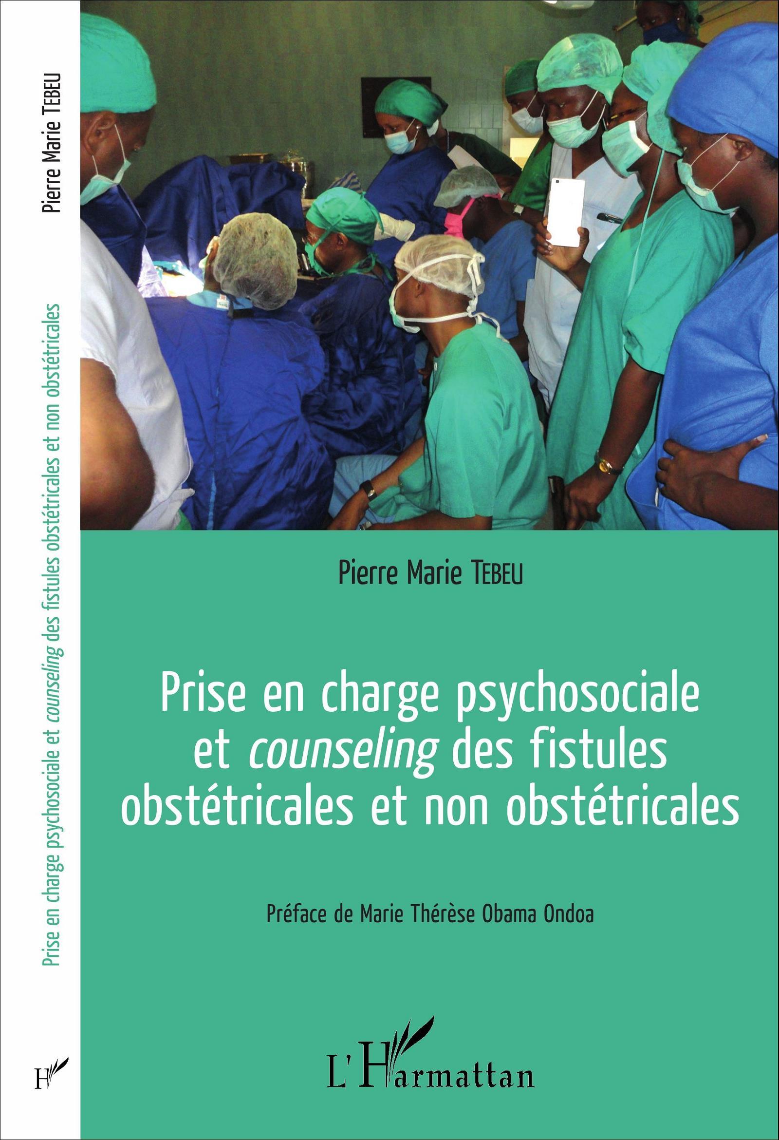 Prise en charge psychosociale et counseling des fistules obstétricales et non obstétricales (9782343085470-front-cover)