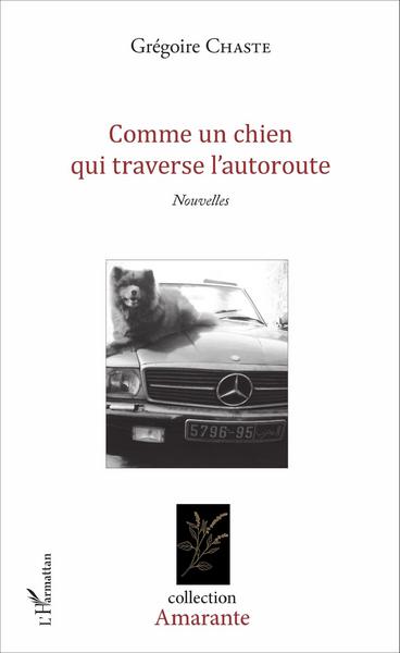 Comme un chien qui traverse l'autoroute, Nouvelles (9782343093291-front-cover)