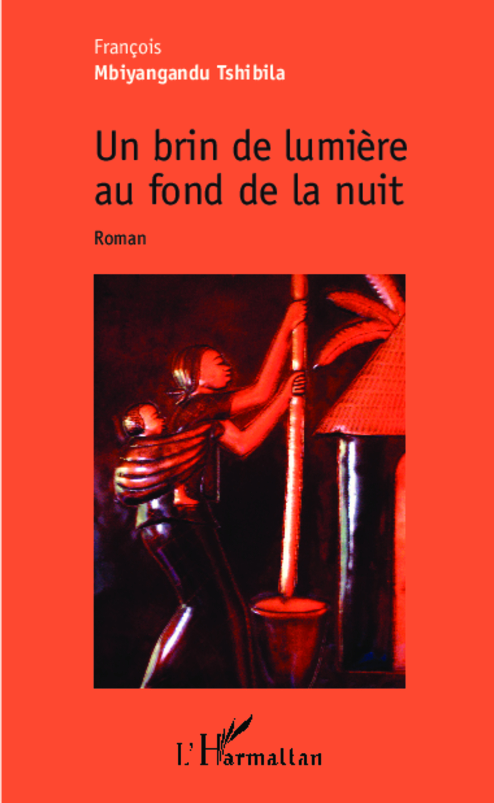 Un brin de lumière au fond de la nuit, Roman (9782343034058-front-cover)