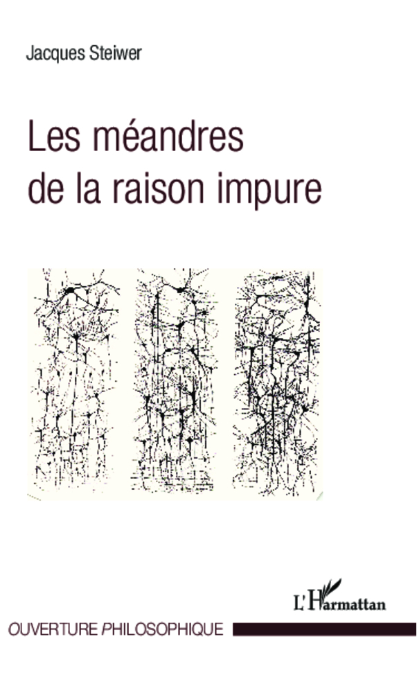 Les méandres de la raison impure (9782343001777-front-cover)