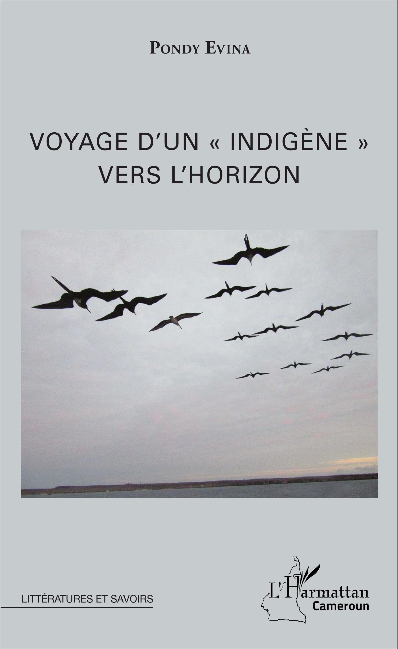 Voyage d'un "indigène" vers l'horizon (9782343099293-front-cover)