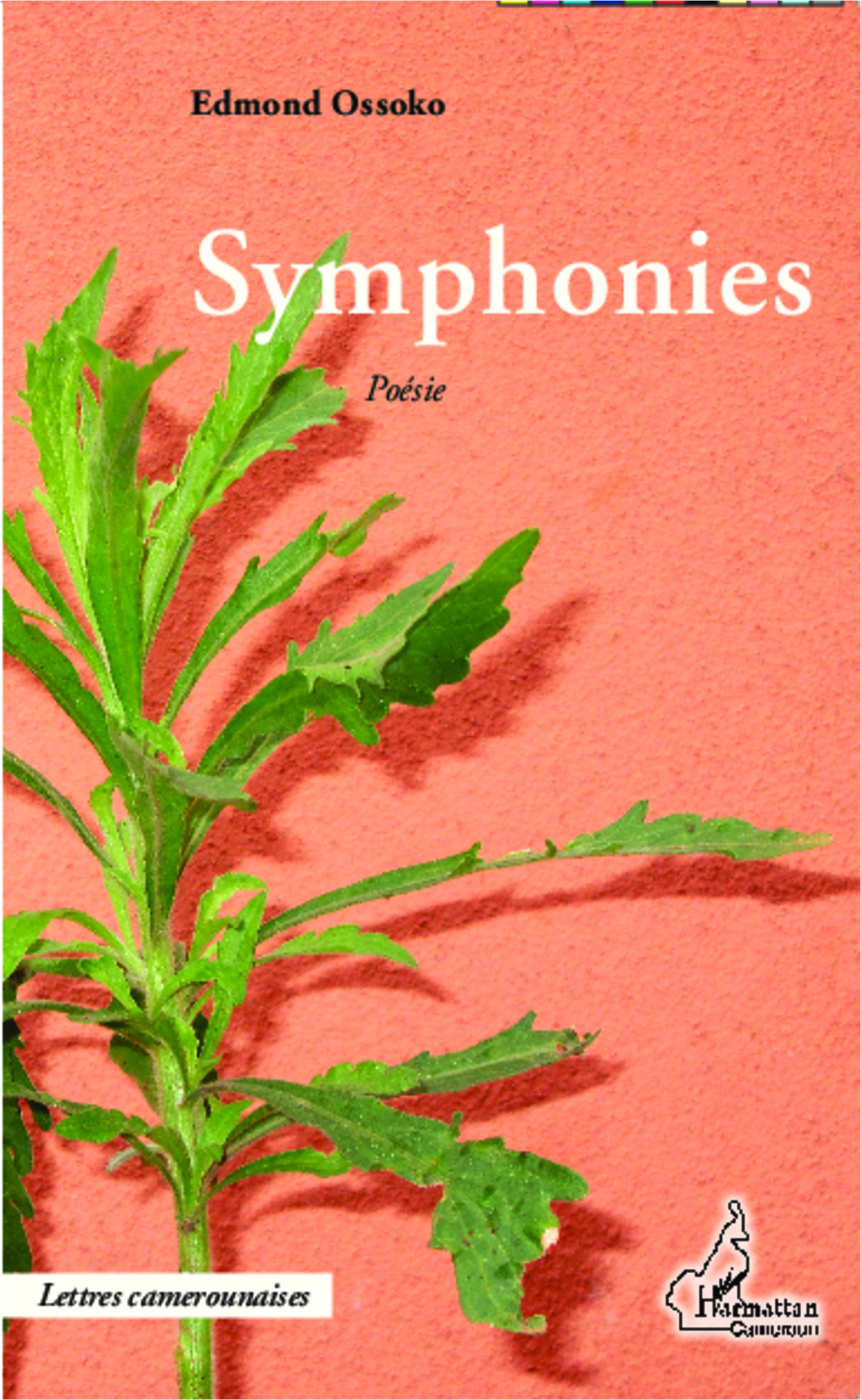 Symphonies, Poésie (9782343034171-front-cover)