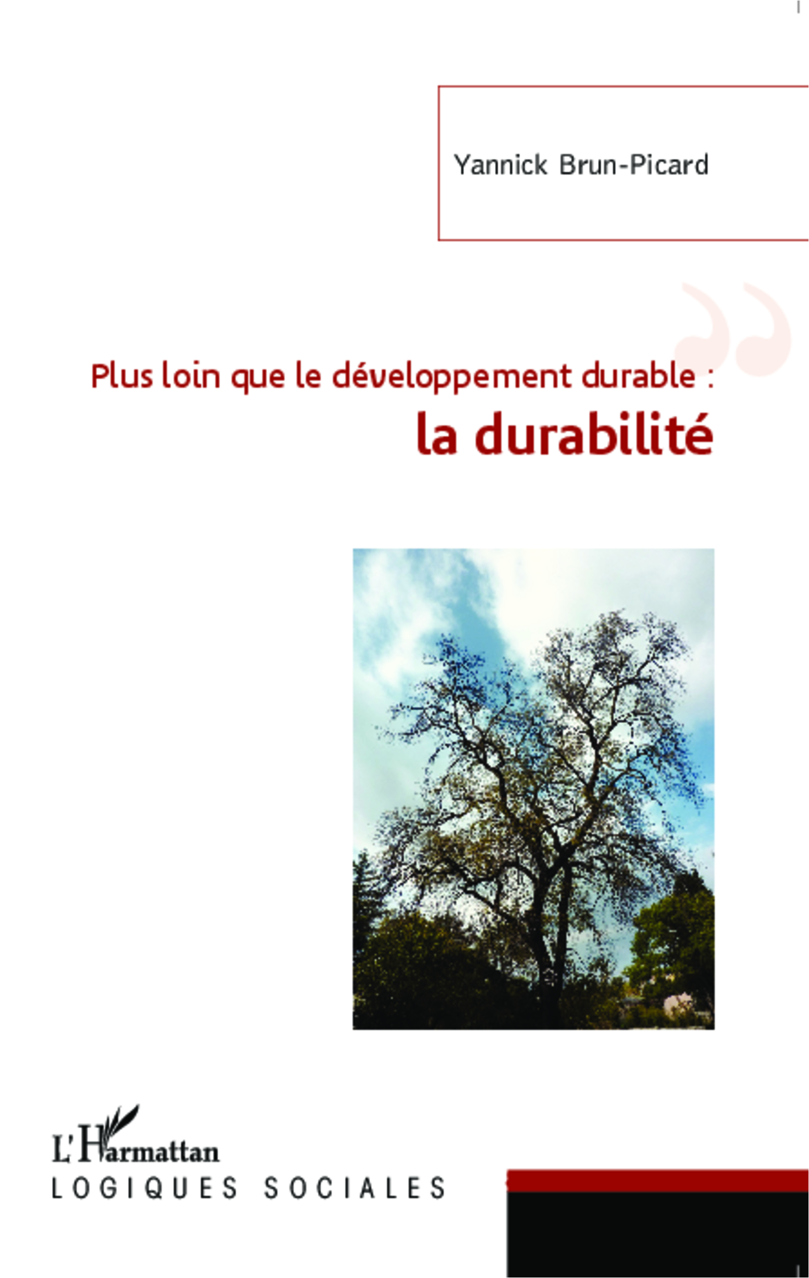 Plus loin que le développement durable : la durabilité (9782343048406-front-cover)