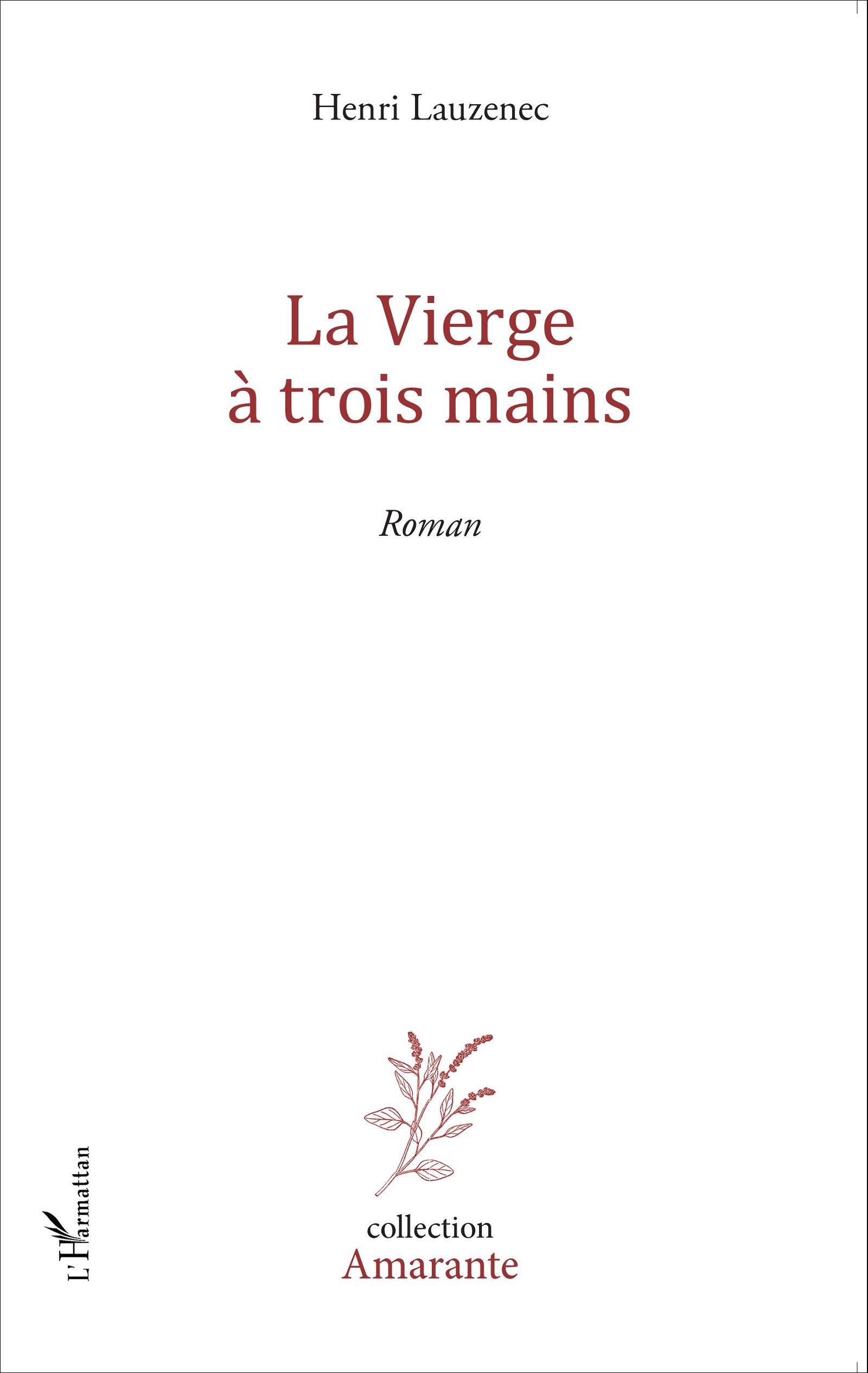 La vierge à trois mains, Roman (9782343047379-front-cover)