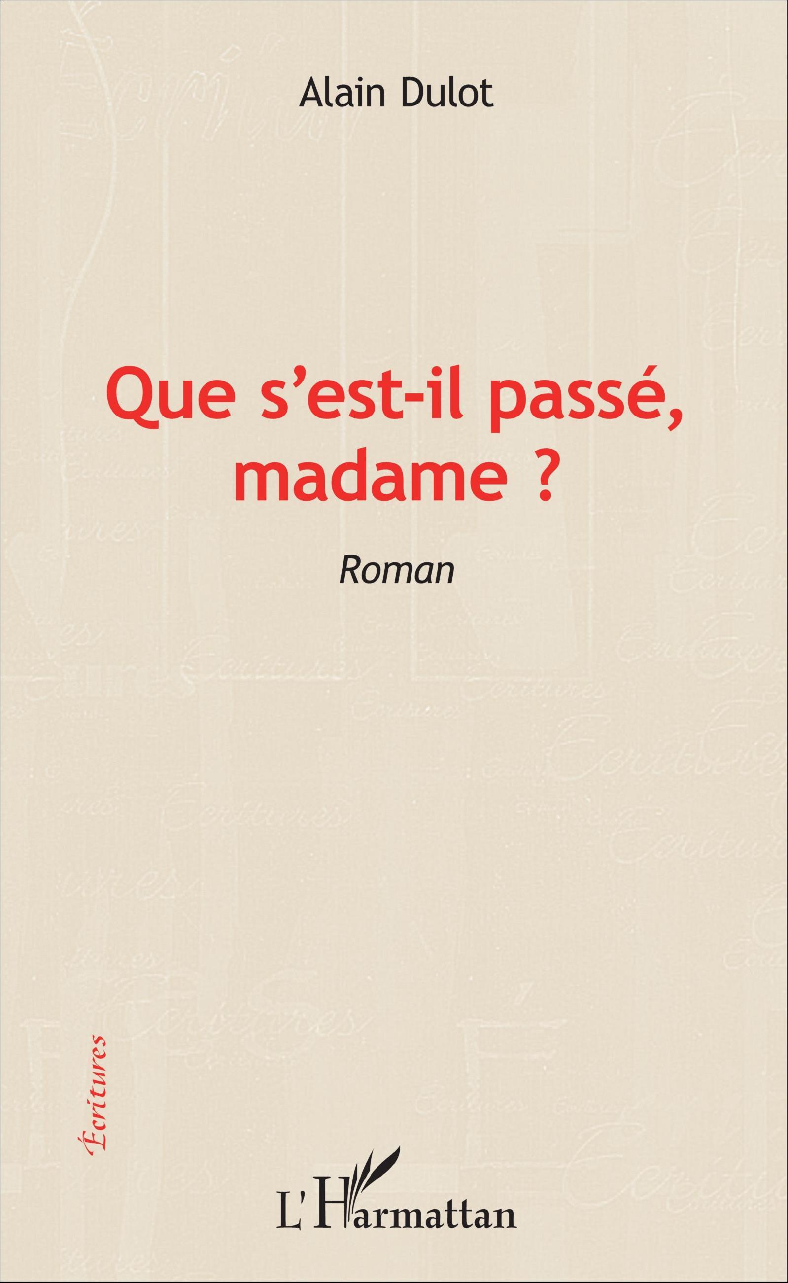 Que s'est-il passé madame ?, Roman (9782343091945-front-cover)