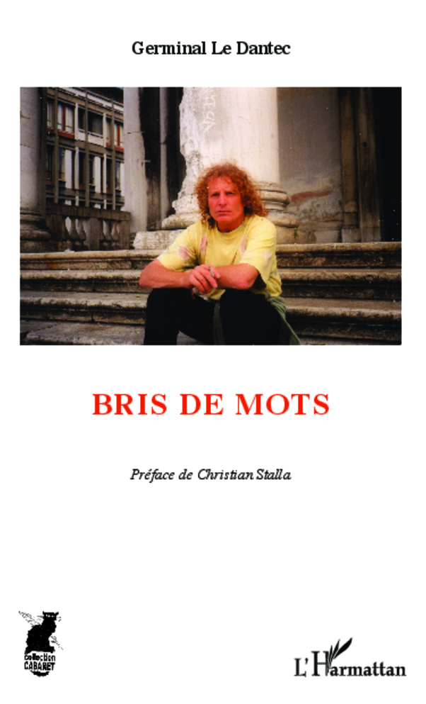 Bris de mots (9782343000947-front-cover)