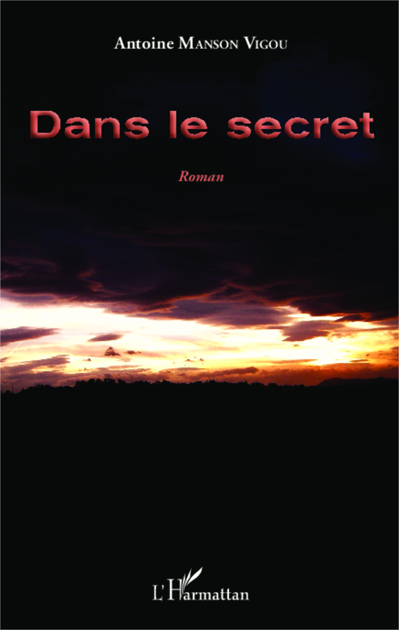 Dans le secret, Roman (9782343028019-front-cover)