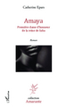 Amaya, Première dame d'honneur de la reine de Saba (9782343012780-front-cover)