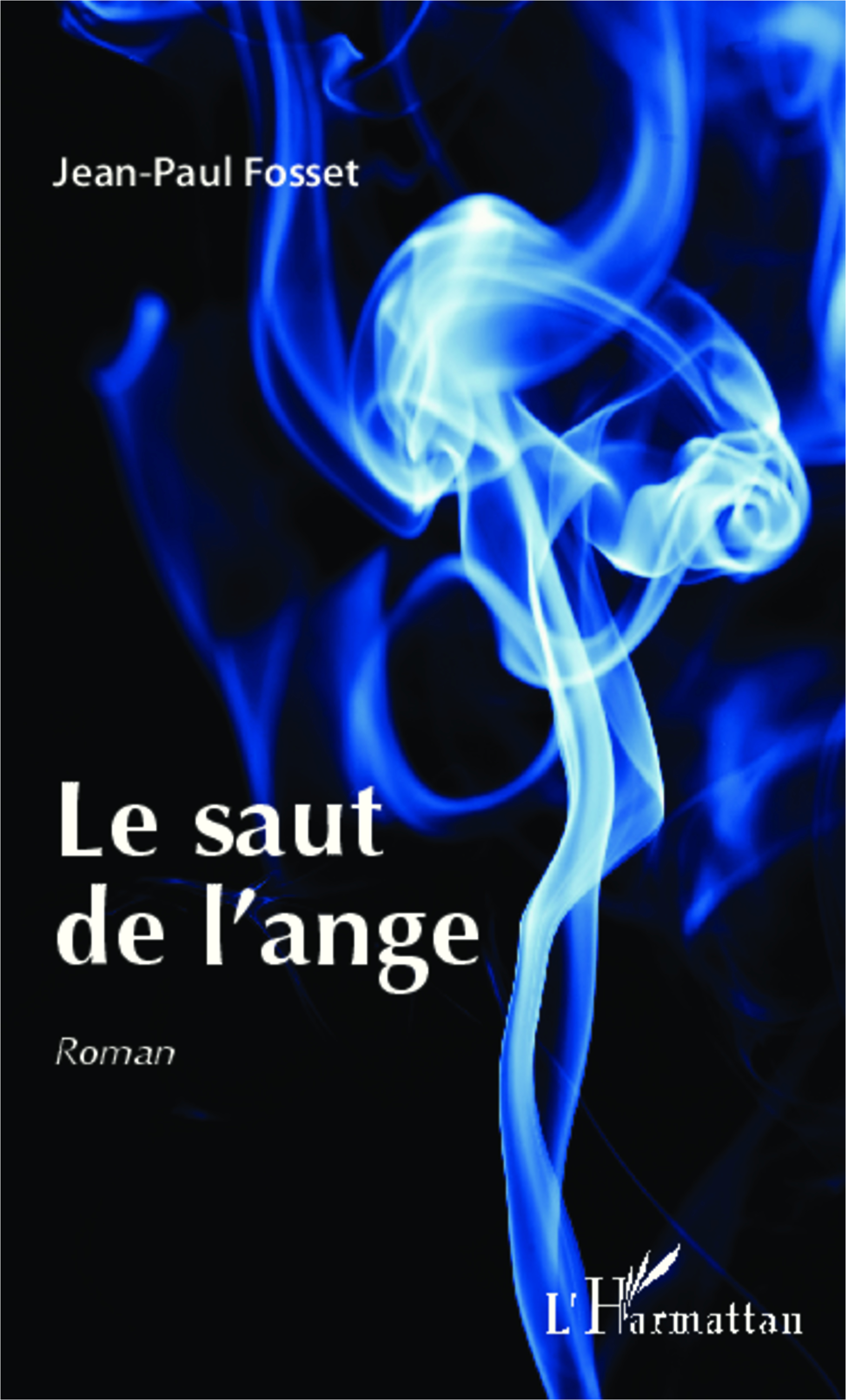 Le saut de l'ange, Roman (9782343011387-front-cover)