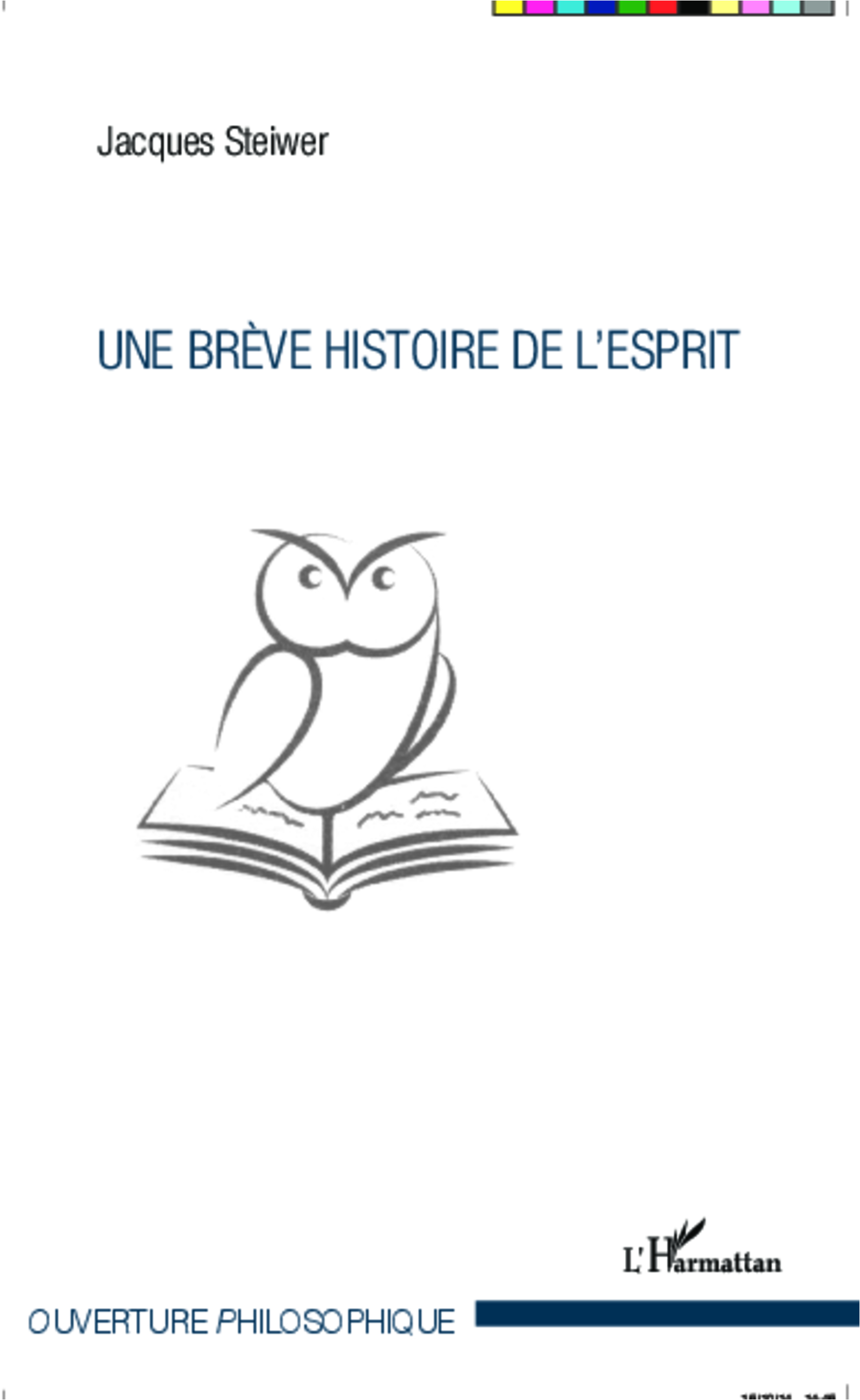 Une brève histoire de l'Esprit (9782343046266-front-cover)