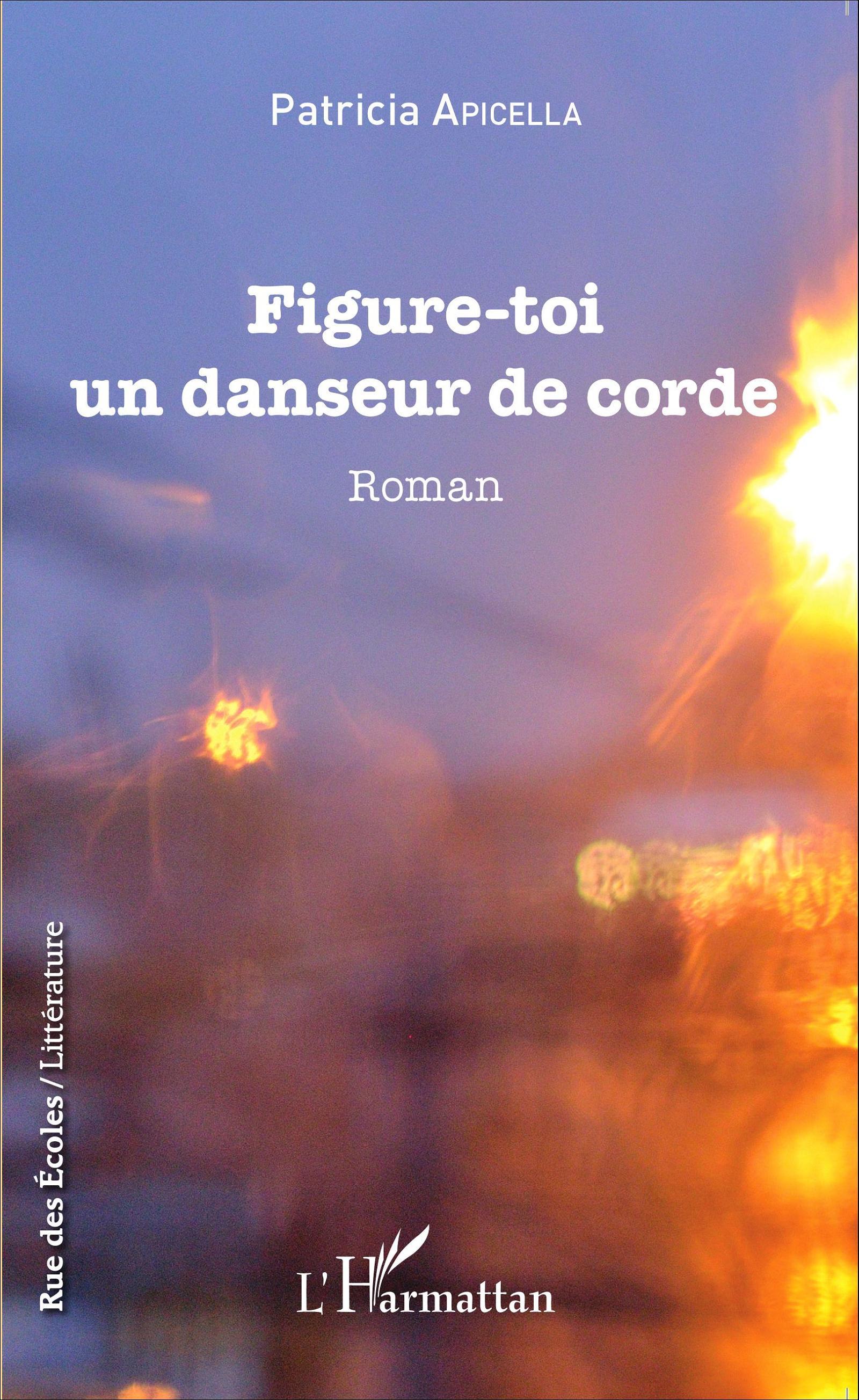 Figure-toi un danseur de corde, Roman (9782343076522-front-cover)