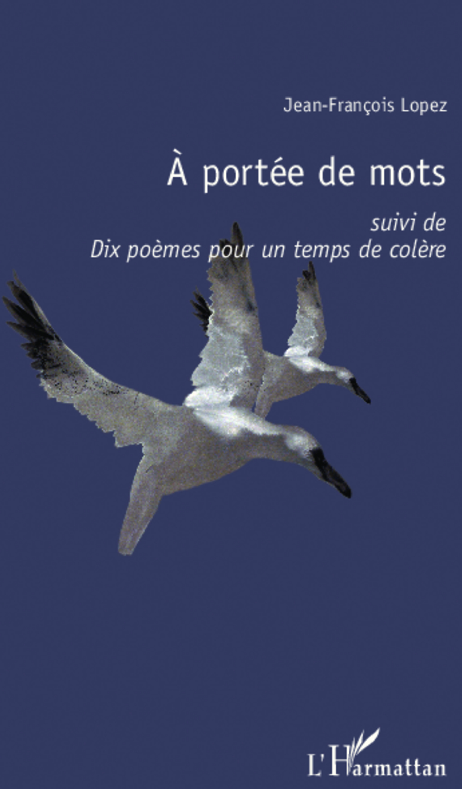 A portée de mots, suivi de - Dix poèmes pour un temps de colère (9782343015576-front-cover)