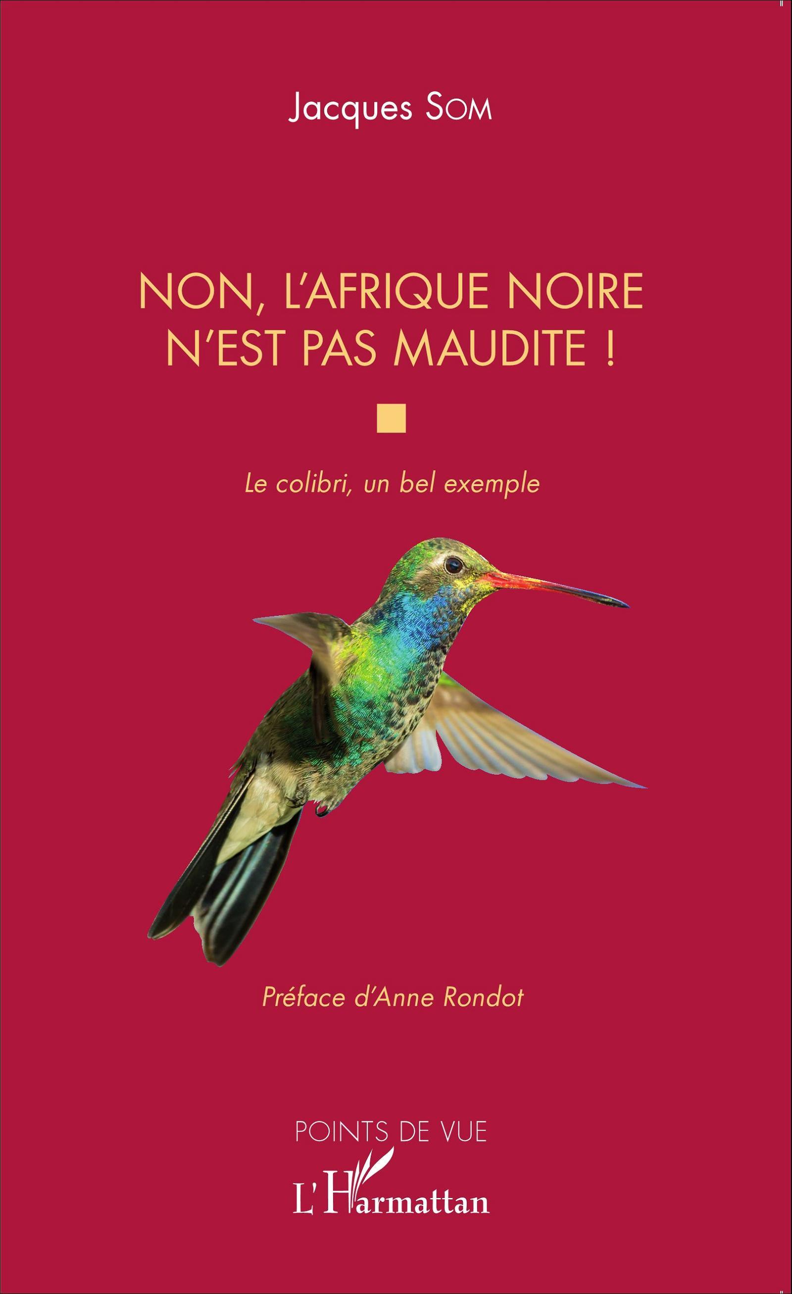 Non, l'Afrique noire n'est pas maudite, Le colibri, un bel exemple (9782343063621-front-cover)