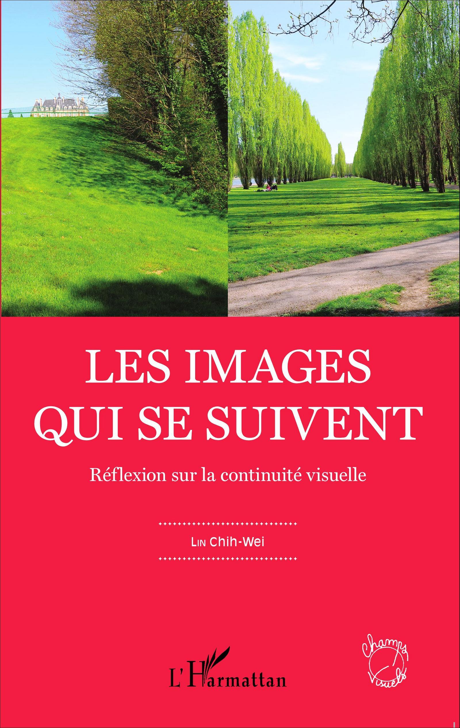 Les images qui se suivent, Réflexion sur la continuité visuelle (9782343044408-front-cover)