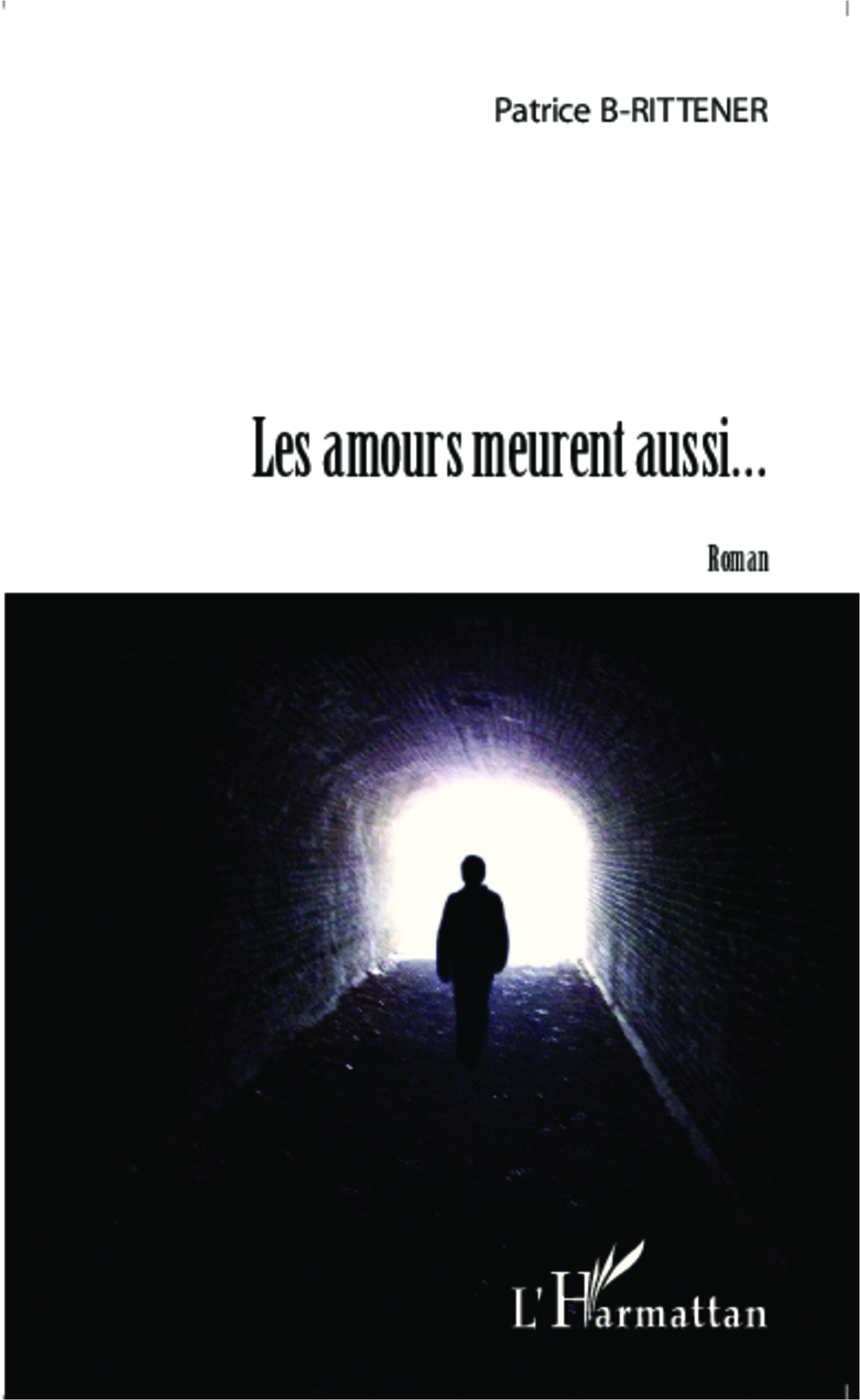 Les amours meurent aussi..., Roman (9782343045375-front-cover)