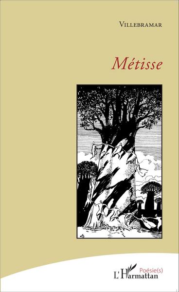 Métisse (9782343078953-front-cover)