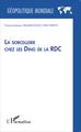 La sorcellerie chez les Ding de la RDC (9782343045054-front-cover)