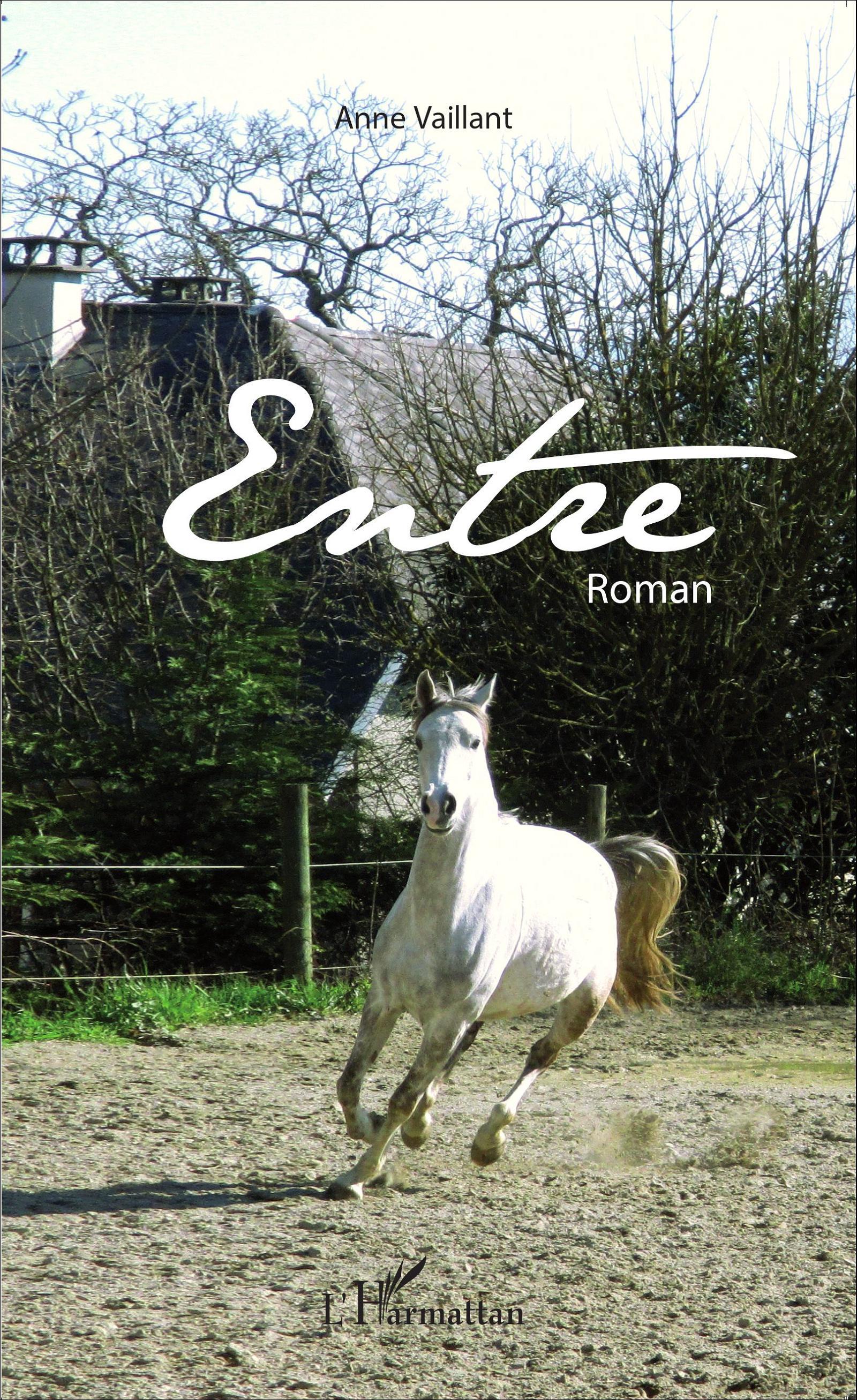 Entre, Roman (9782343060811-front-cover)