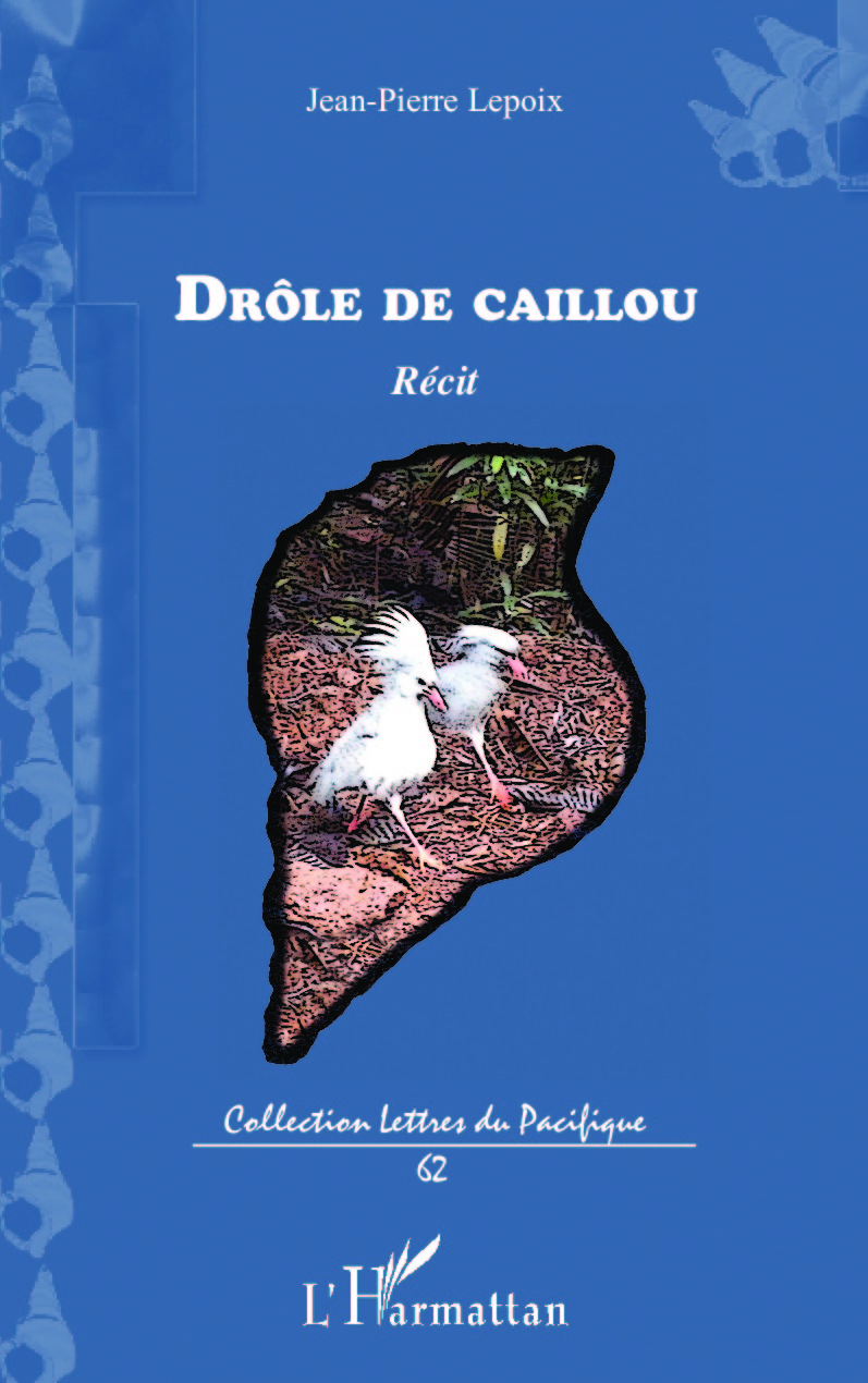 Drôle de caillou, Récit d'un "zoreille" (9782343082295-front-cover)