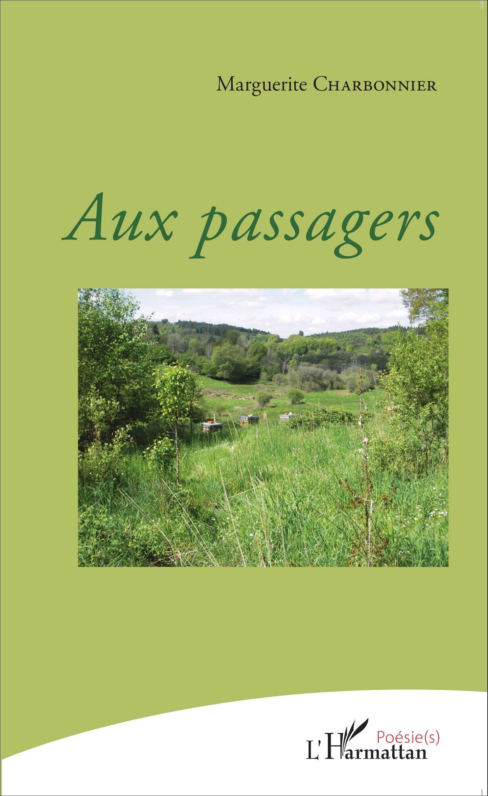 Aux passagers (9782343064741-front-cover)