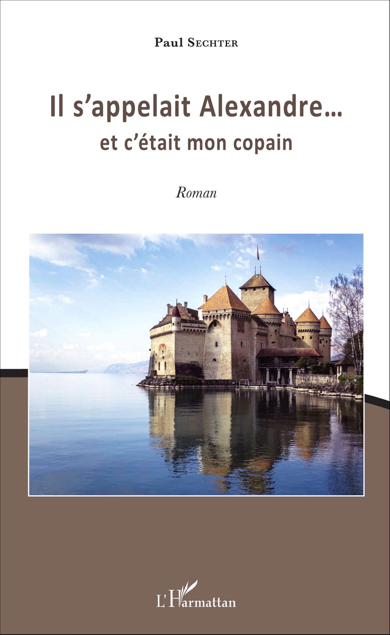 Il s'appelait Alexandre..., et c'était mon copain - Roman (9782343071220-front-cover)